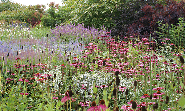 Visit our trial garden